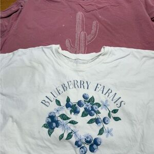 Torrid White and Pink Short Sleeve Tees